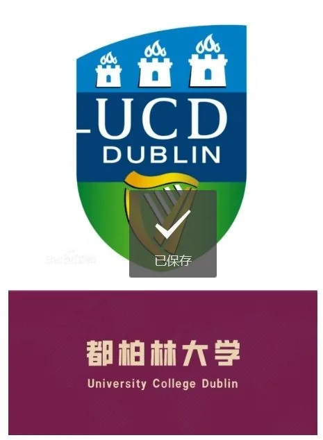 从西中国际走向世界 西安中学国际部2024届阶段相关图片
