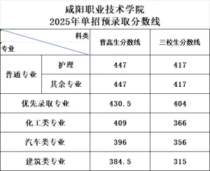 2026年陕西单招，如何上咸阳职业技术学院？相关图片