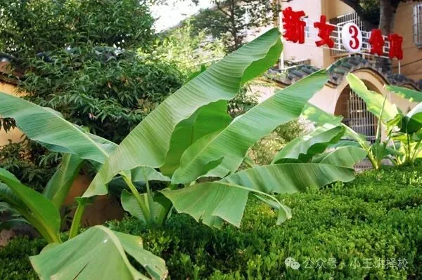 2026年西咸新区丝路艺术职业学校招生简章